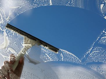 Exterior Window Cleaning